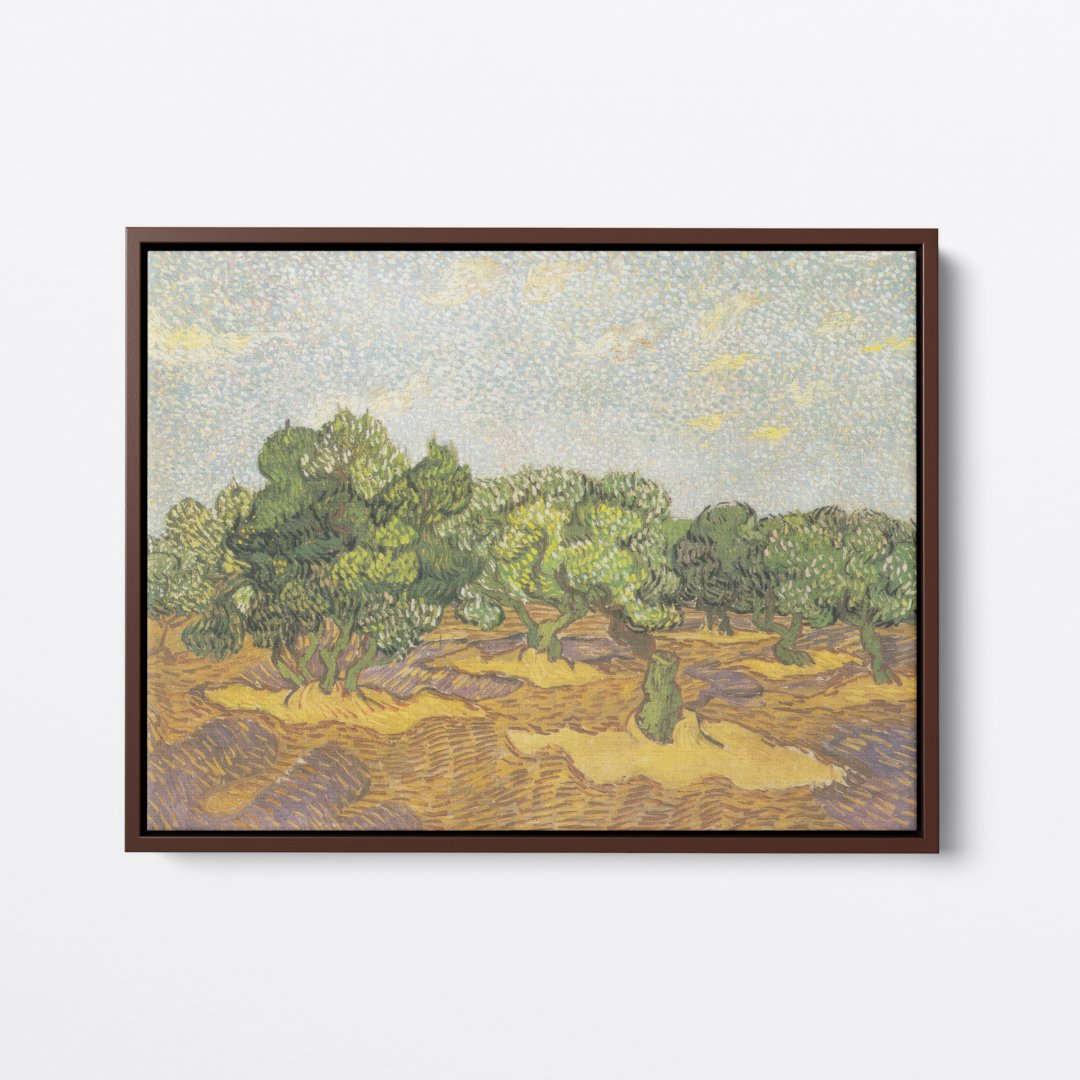 Olive Fields | Vincent van Gogh | Ave Legato | Canvas Art Prints | Vintage Artwork