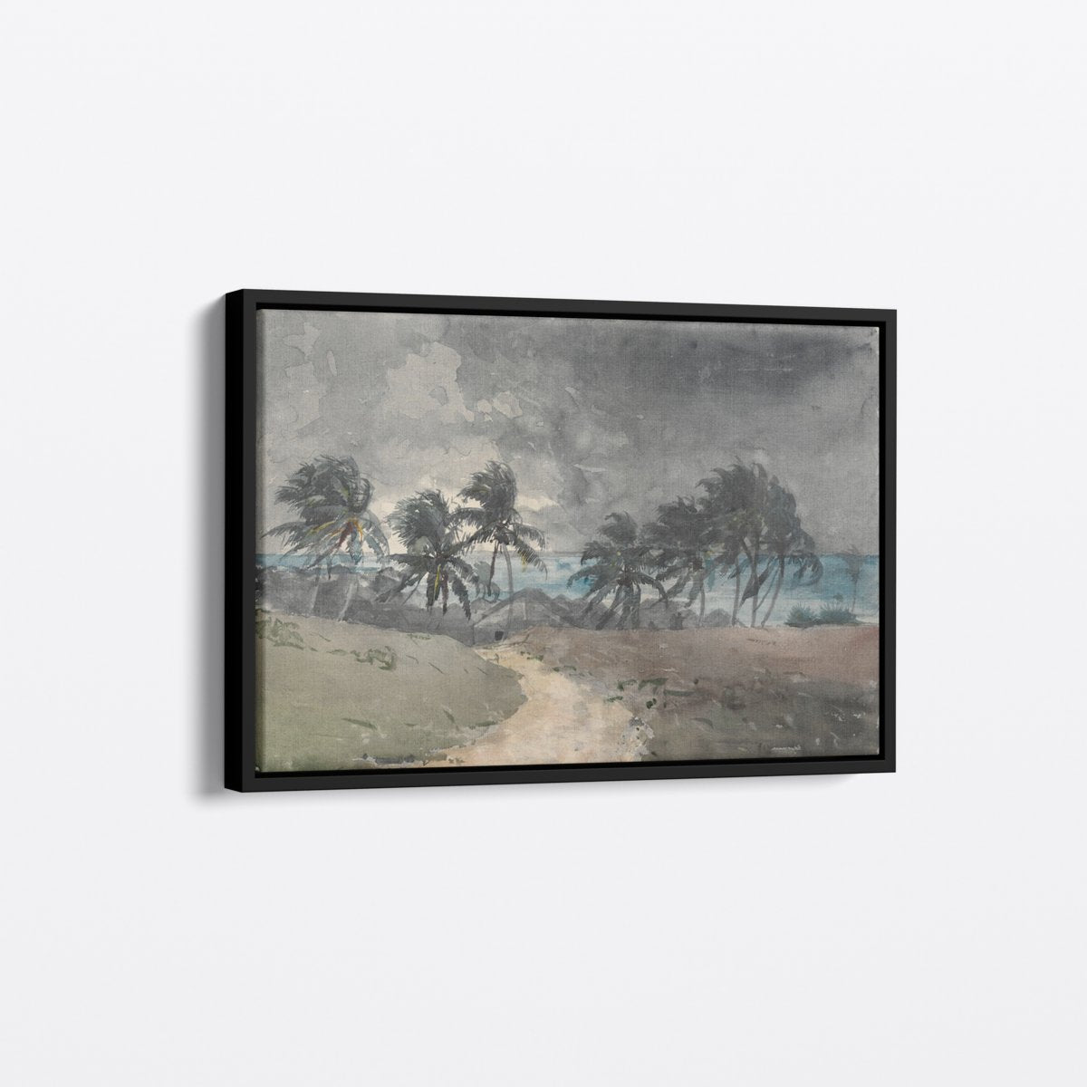 Tropical Storm, Bahamas | Winslow Homer | Ave Legato Art Prints