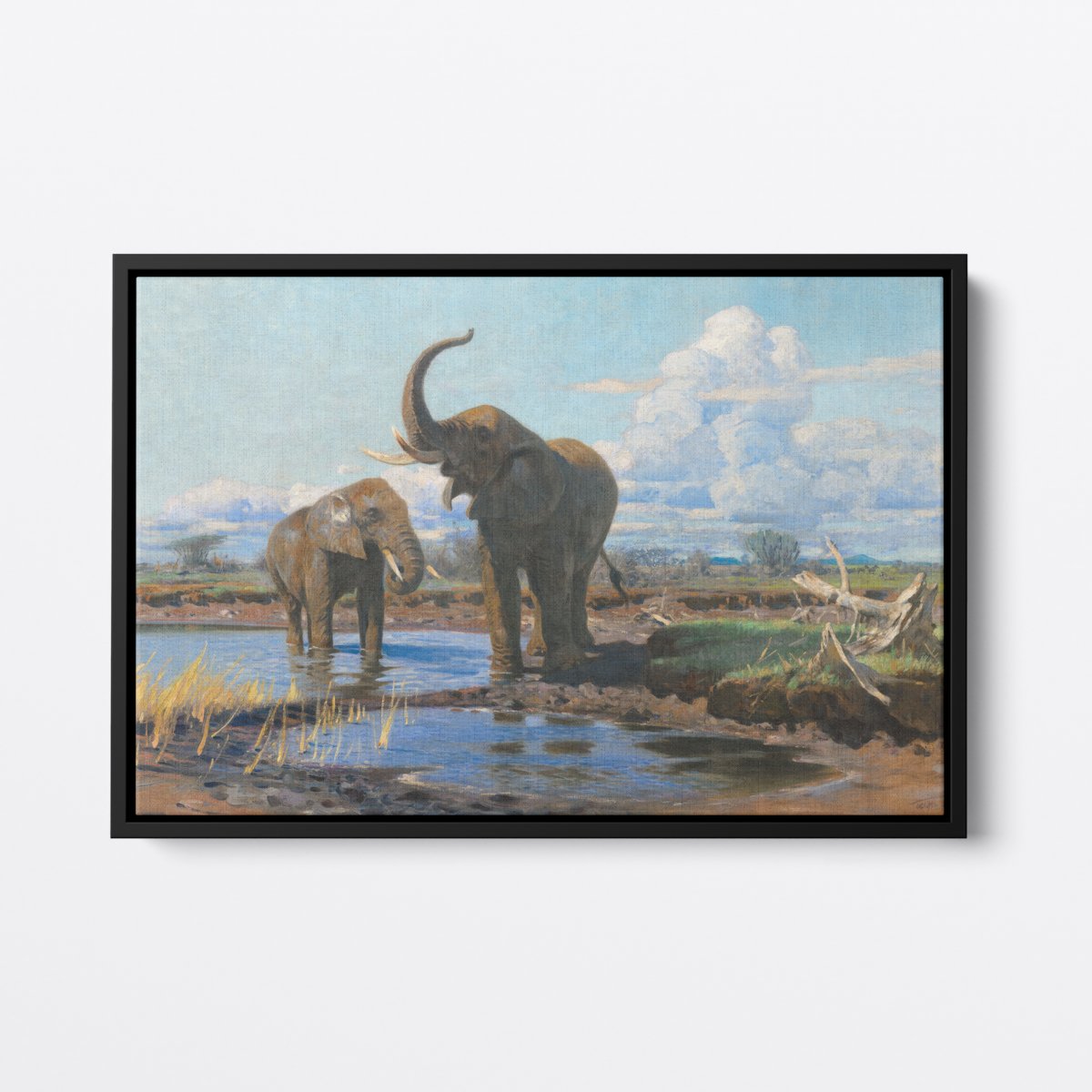 Elephants at a Waterhole | Wilhelm Kuhnert | Ave Legato Art Prints