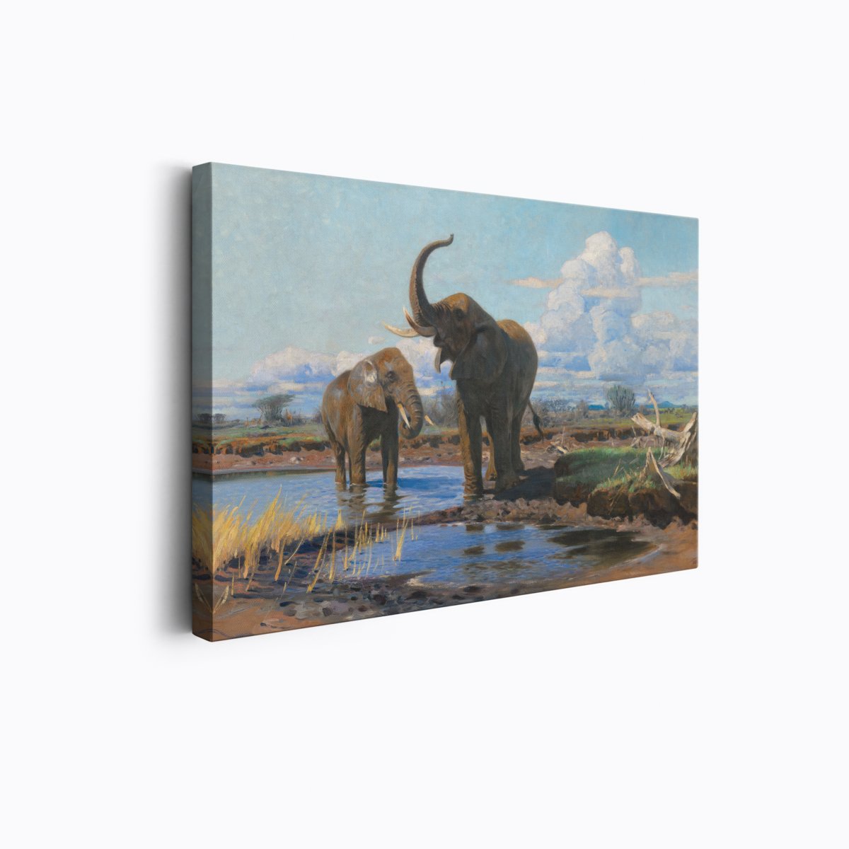 Elephants at a Waterhole | Wilhelm Kuhnert | Ave Legato Art Prints