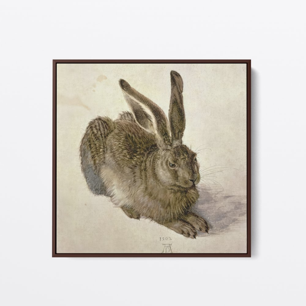Young Hare | Albrecht Duere | Ave Legato | Canvas Art Prints | Vintage Artwork